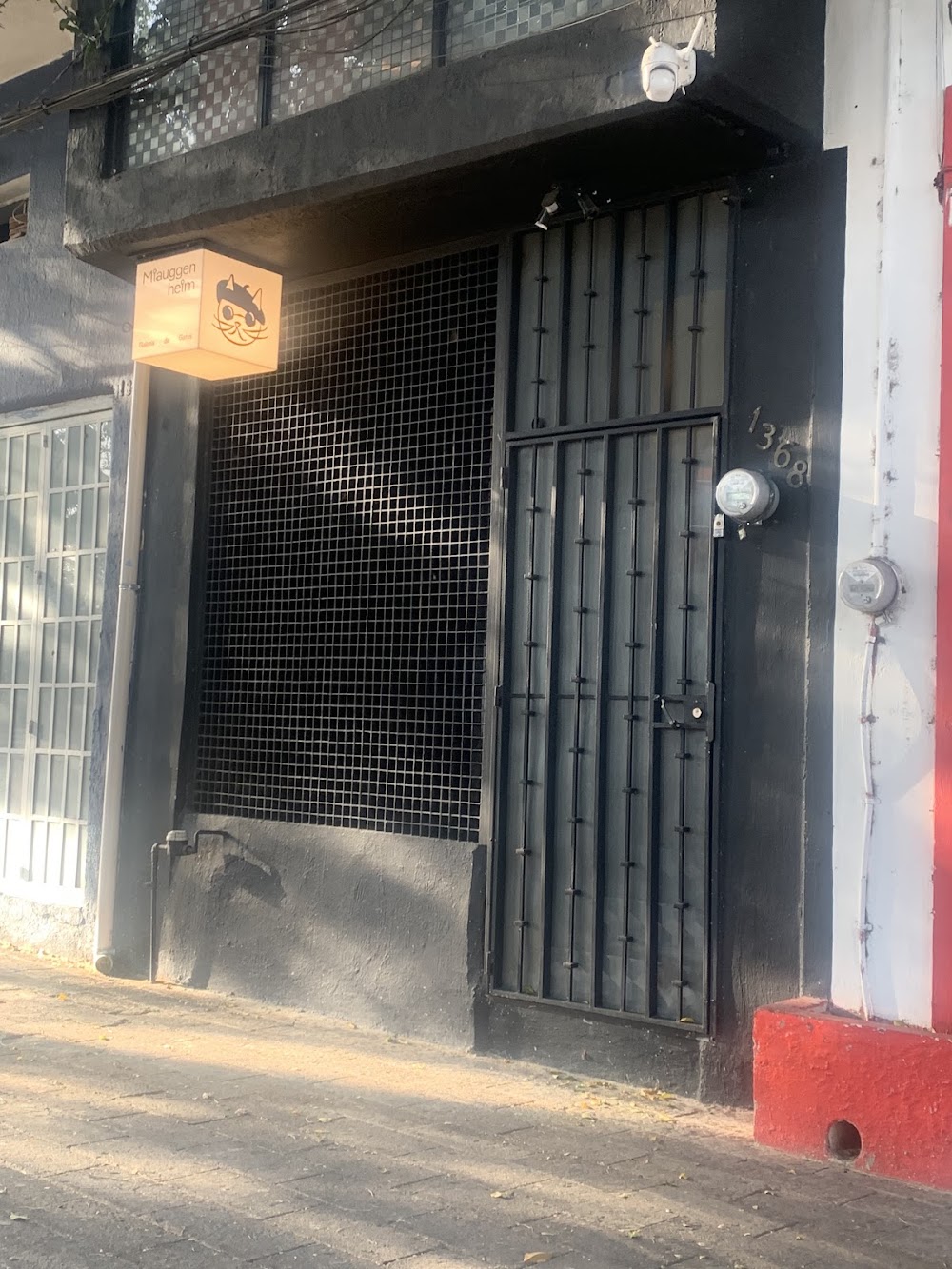 Miauggenheim, cafetería en Guadalajara, Jalisco