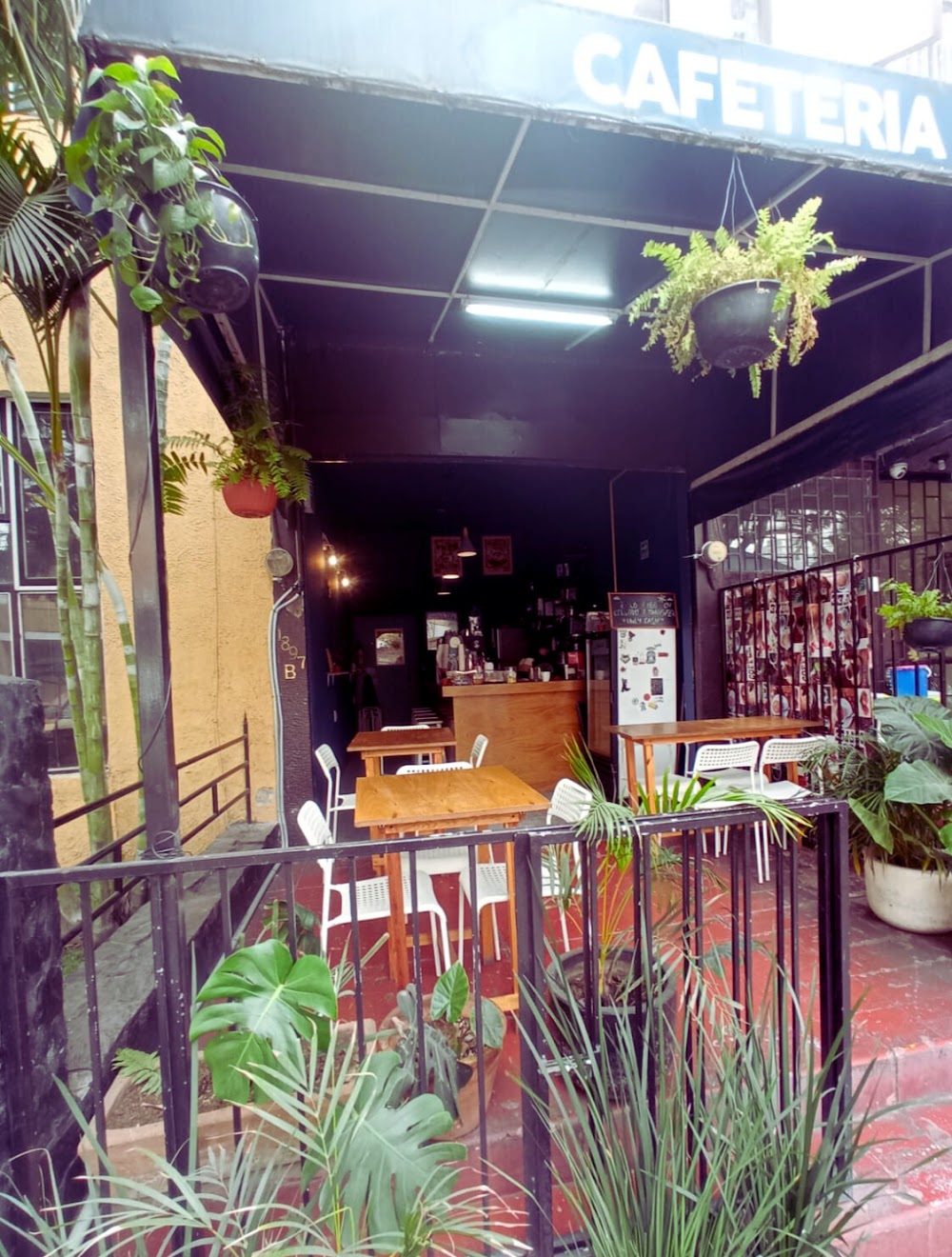 Tre Vollte Benedetto, cafetería en Guadalajara, Jalisco