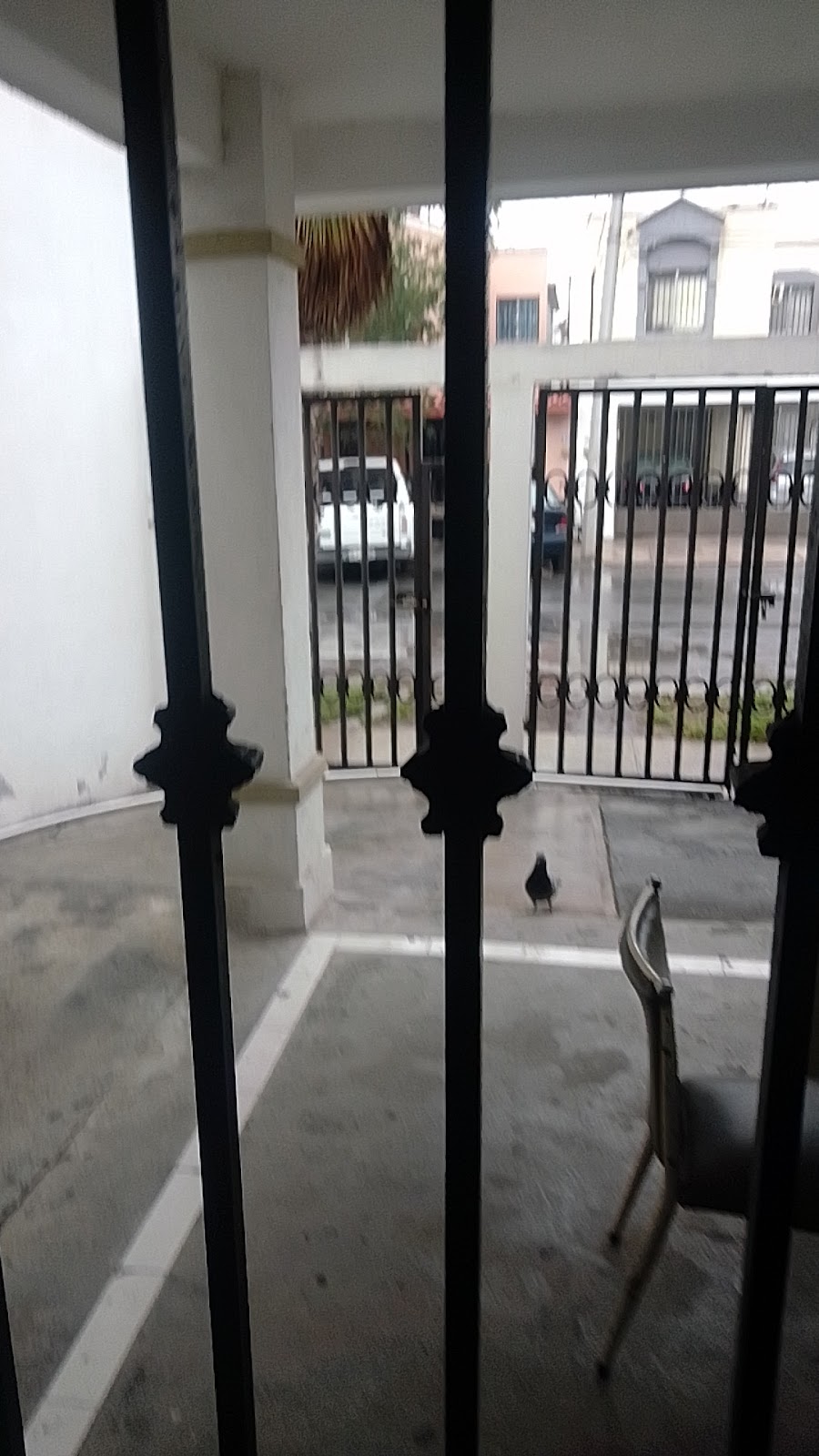 Cooperativa Escolar Primaria Prof. Guadalupe Chapa Durturno Matutino, cafetería en Monterrey, Nuevo León