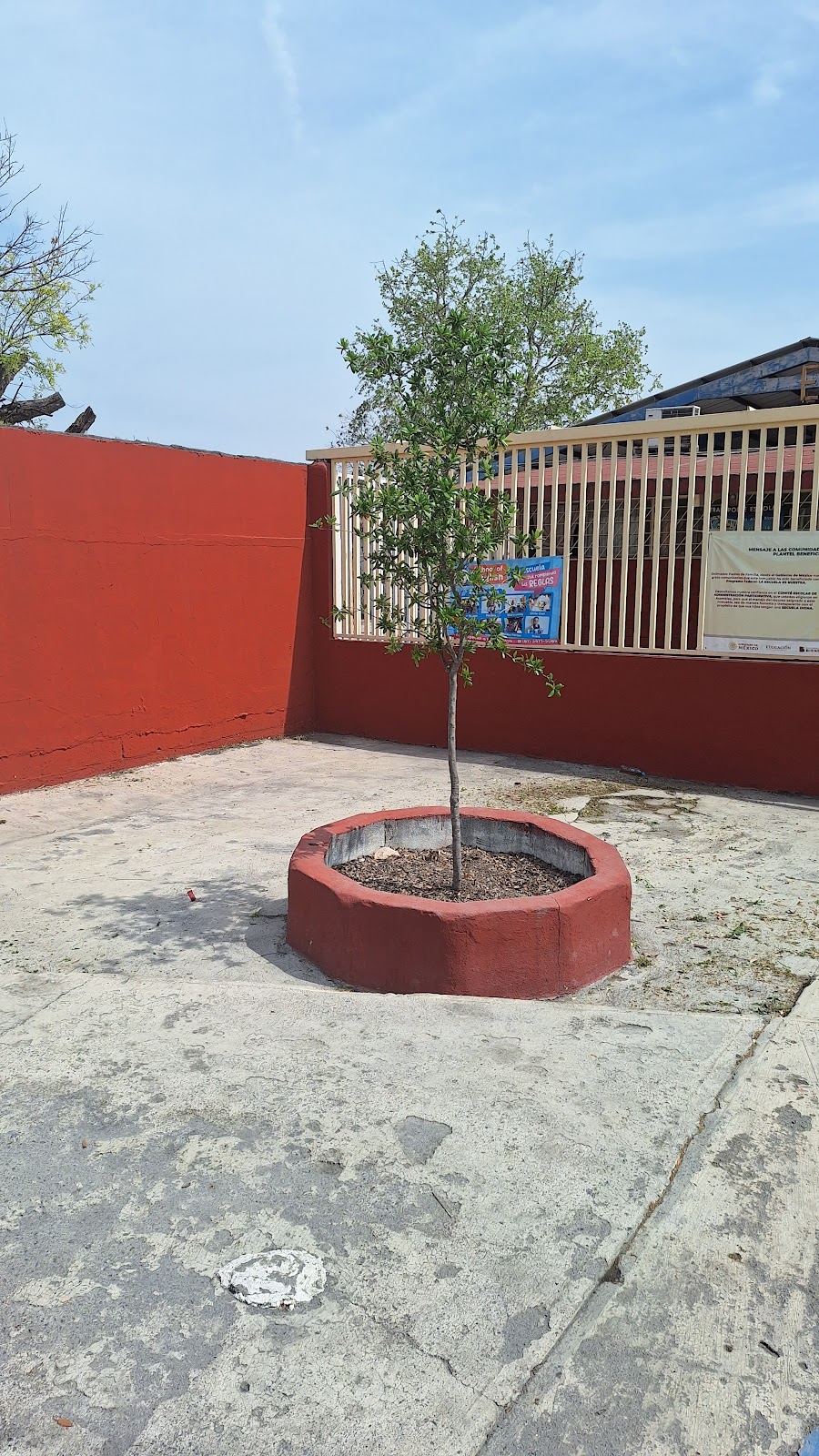 Estanquillo T M Esc Primaria Estatal Arq Mauricio M Campos, cafetería en San Nicolás de los Garza, Nuevo León