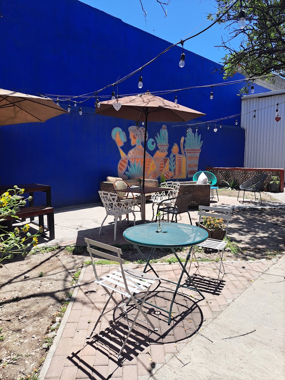 Amor Amor Cafe Cultura, cafetería en Monterrey, Nuevo León