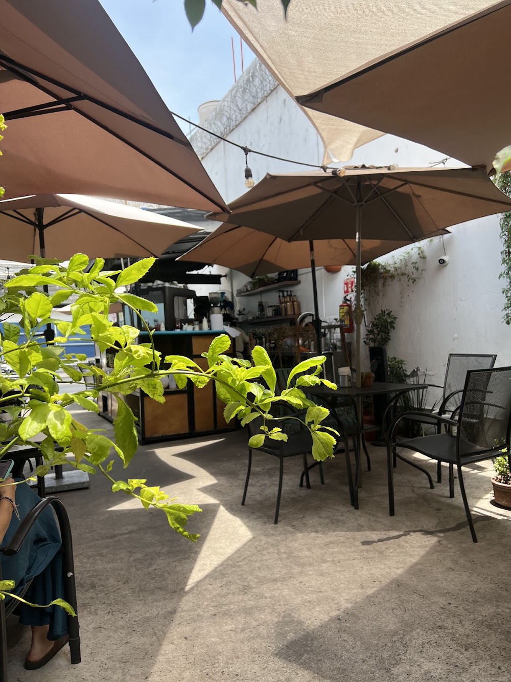 Luna Cafe, cafetería en Guadalajara, Jalisco